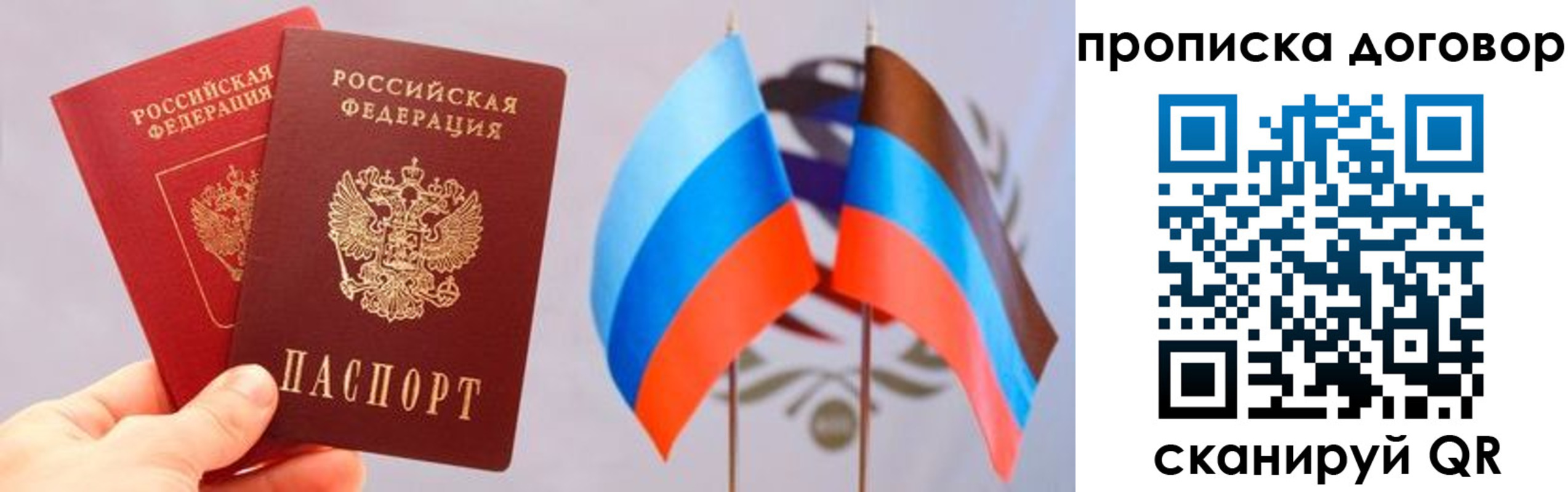 временная регистрация поиск в Светлогорске