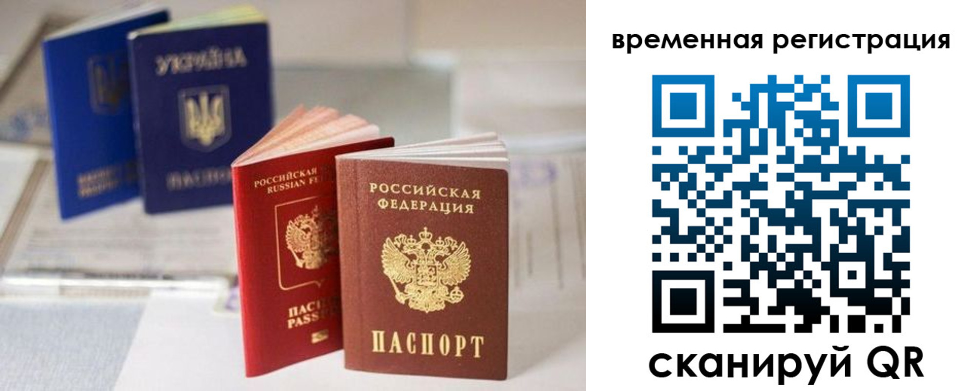 прописка поиск в Светлогорске